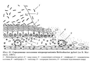 В частности увеличивается количество лимфоцитов, полиморфноядерных нейтрофильных фанулоцитив